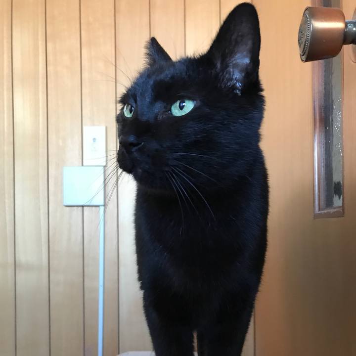 8b0adf30 757f 4672 9da9 dec1e6ba1a48 1519433318271