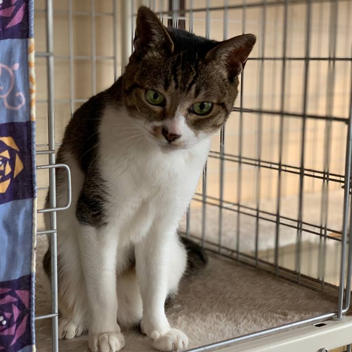 8b0adf6b 652d 44c6 b904 db6d6b7c4d93 1583542858370