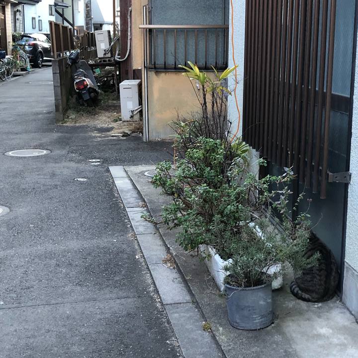 8b0b205c c9cb 4367 853a e148909ee504 1580977800774