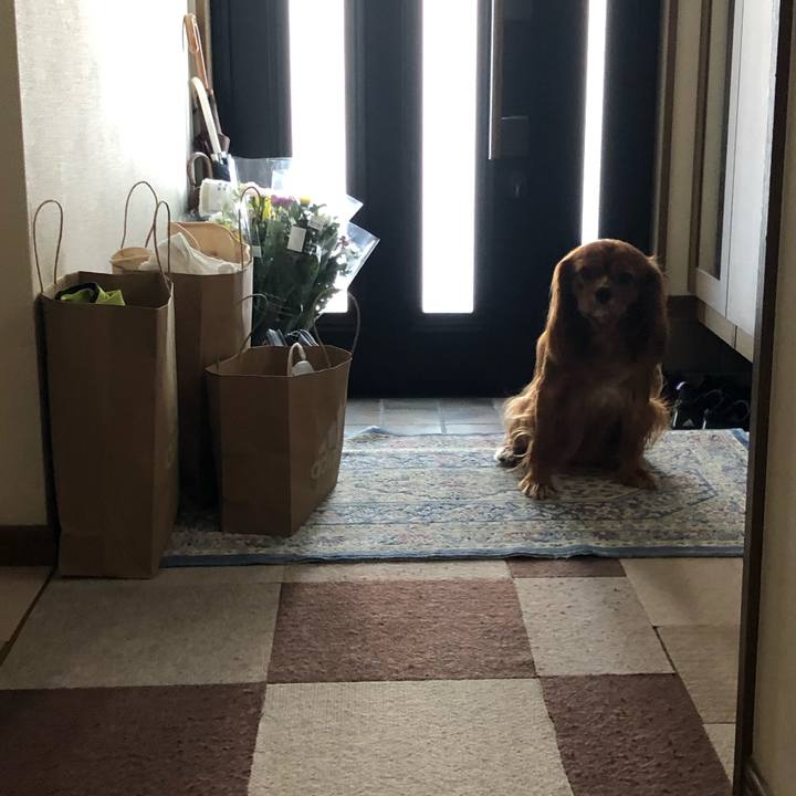 8b0b2da0 ed64 41e9 88f9 bd0384528cd5 1565477978675