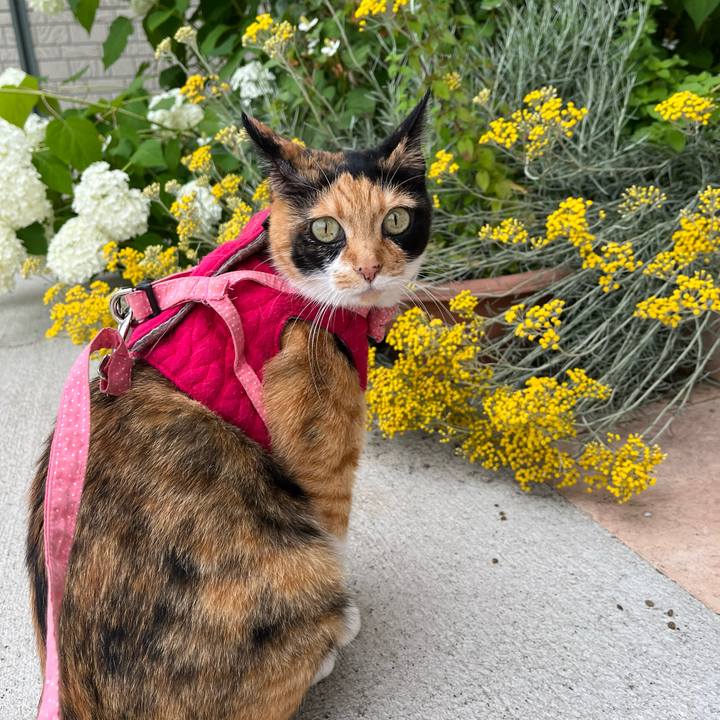 8b0b3b50 fb0a 48ee 95e6 cf0d078d55bc 1689164468545