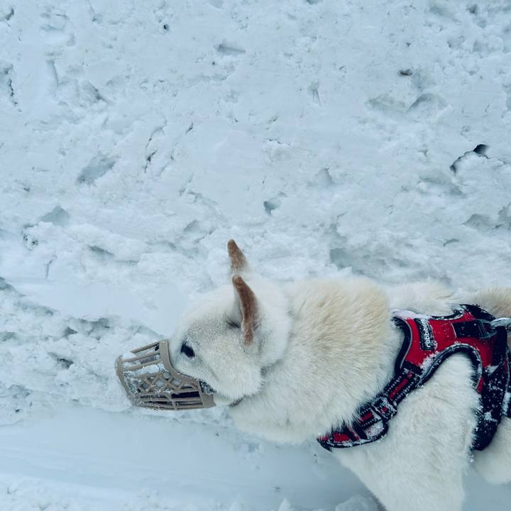 8b0b65e2 b307 4906 979b 5b6369003aaa 1703804766992