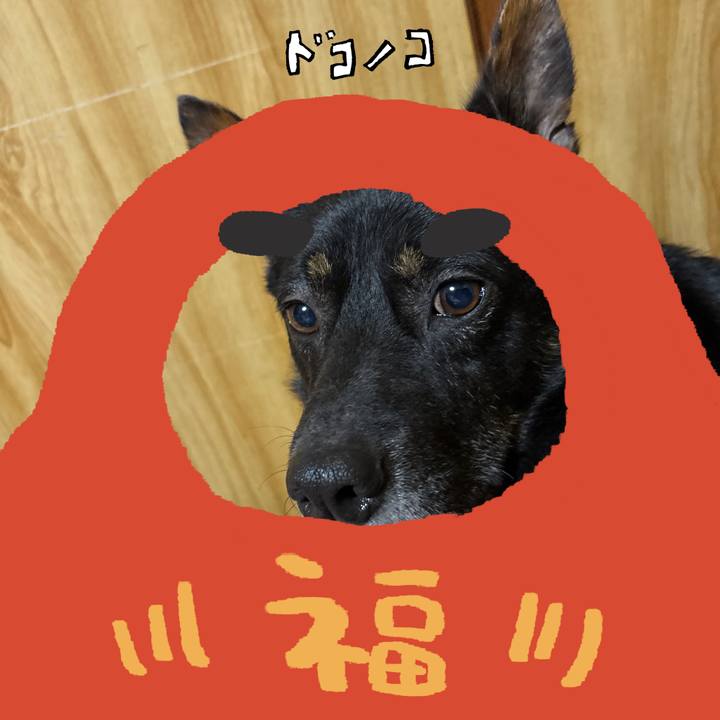 8b0b69b5 b278 456d be5a 23bb1dd7aad2 1772280485637