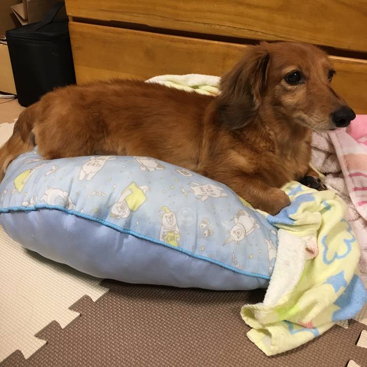 8b0b733a 7cb9 4e83 bd06 6eef318391c2 1527425299162