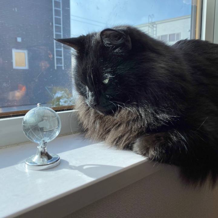 8b0b90ae fd94 48d2 a591 5084eceeef59 1575453846017