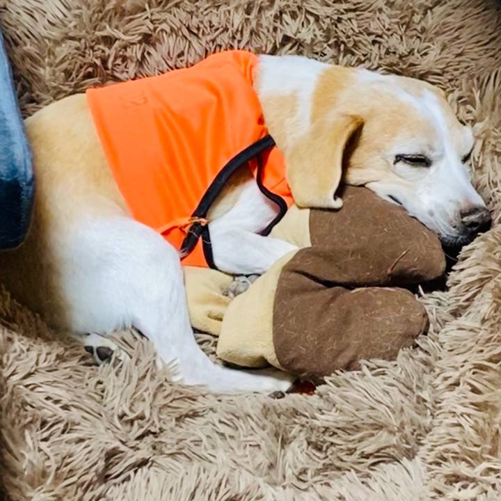 8b0b9330 1d48 41d8 bd4a 284a1a5fbe78 1619945255296