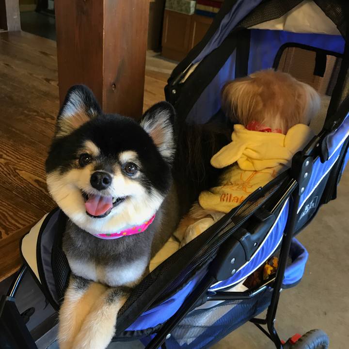 8b0ba625 9082 47b6 b082 ebb2e2ecbaae 1530293421270