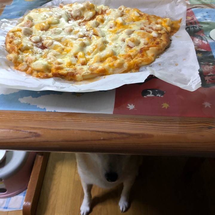 8b0bbdd6 4e63 44fc aee6 e14f8c321e1b 1608459870683