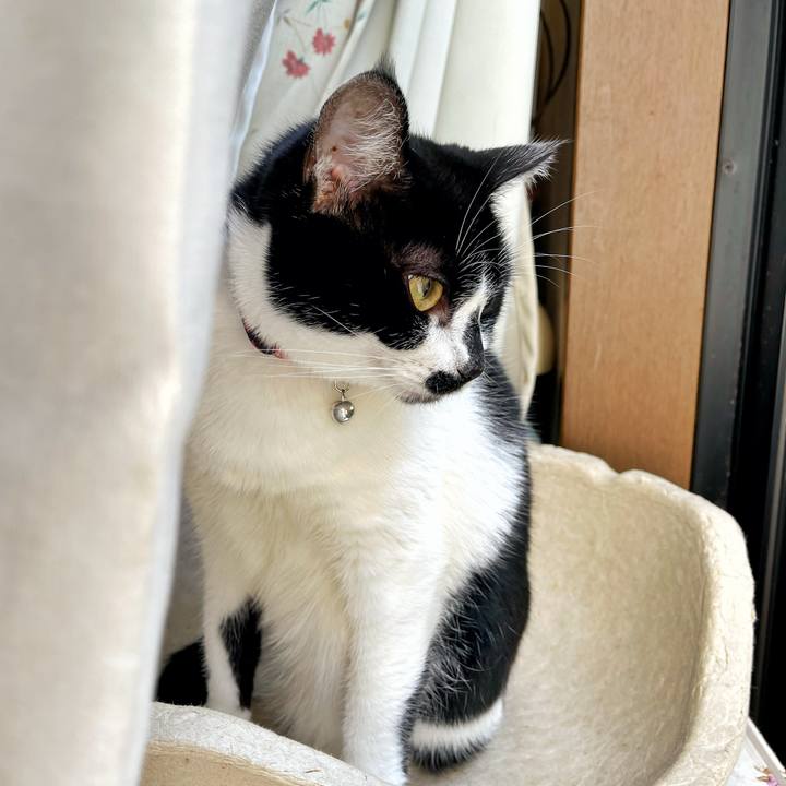 8b0bd6a9 ba43 464a 81b0 668c53e6bd1b 1730948693861