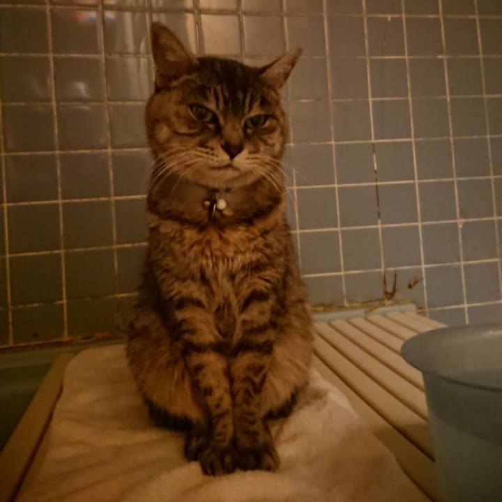 8b0c1e62 3070 4460 b26f 3e59b1e290bf 1576748709626