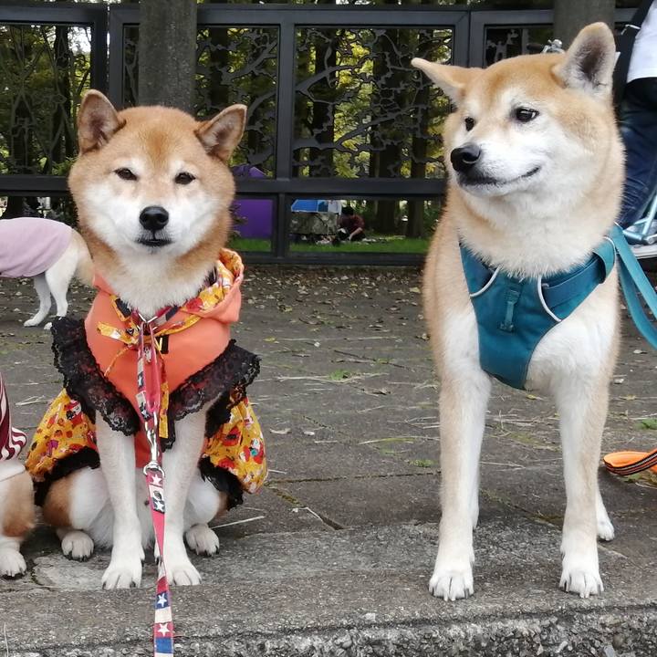 8b0c2018 6a6f 43ac 9835 b29acb8c196c 1666709681168