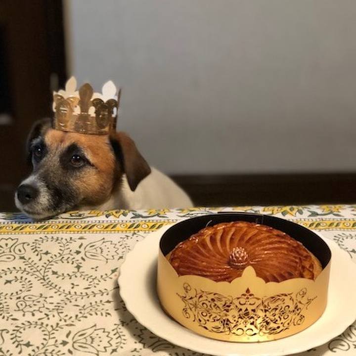 8b0c24fb 46ef 4dc7 9add 7590cc3736e5 1547129690423