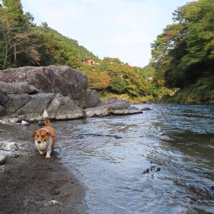 8b0c5877 669b 4673 bc0d bef0675eb022 1666569357772