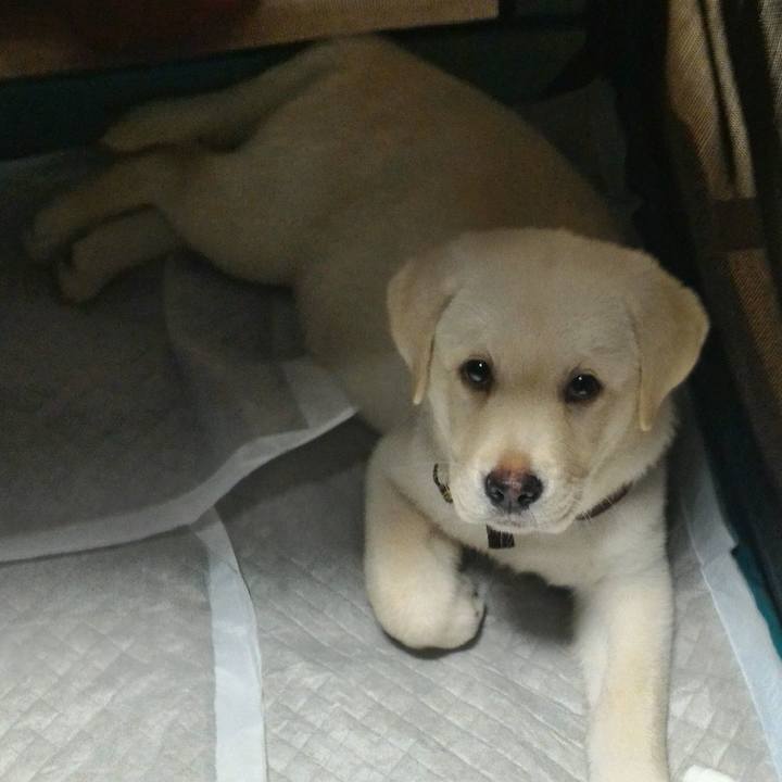 8b0c6885 2445 446f 8139 1b2709ec2972 1616581529276