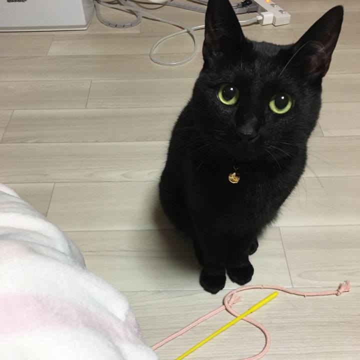 8b0c70da 3ee0 445e baab c3ef7bdda6a1 1511790765596