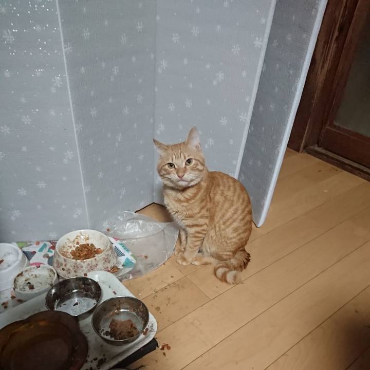 8b0c7df0 74cf 4200 b30d 9e2e82257565 1639606222459