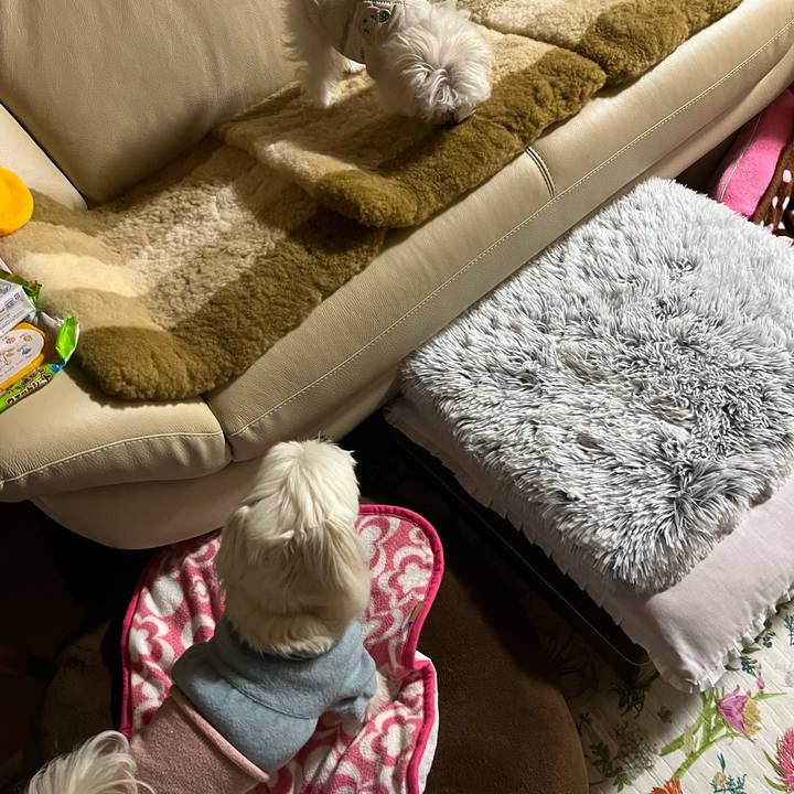 8b0c8cef dd13 4bea 97ab 8e1fe8e07a81 1703235767066