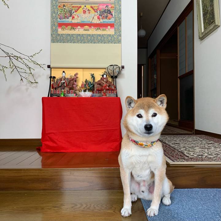 8b0cb259 d32a 4a34 b132 0f36f58d07c8 1615279223483