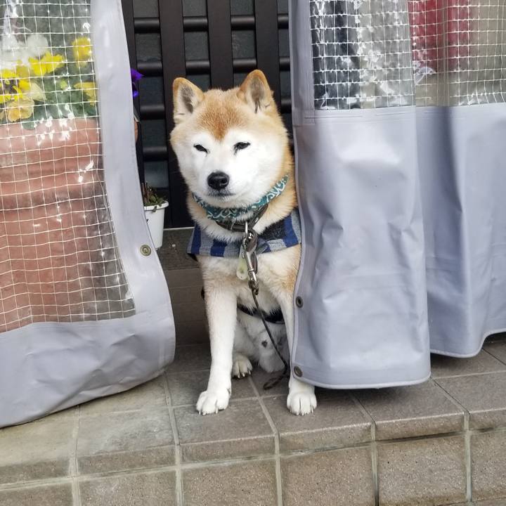 8b0cfccd 152a 476a a557 48e633c36903 1708069725992