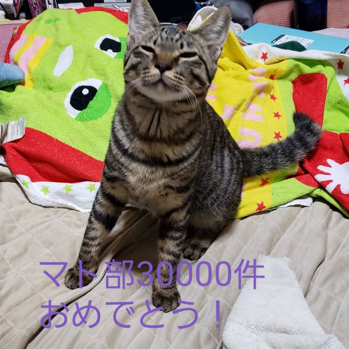 8b0d301a 99bd 4636 9e55 6059aaa41702 1544836704790