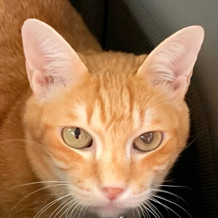 8b0d30eb d1ec 4402 b8ba f97574412981 1608288161344