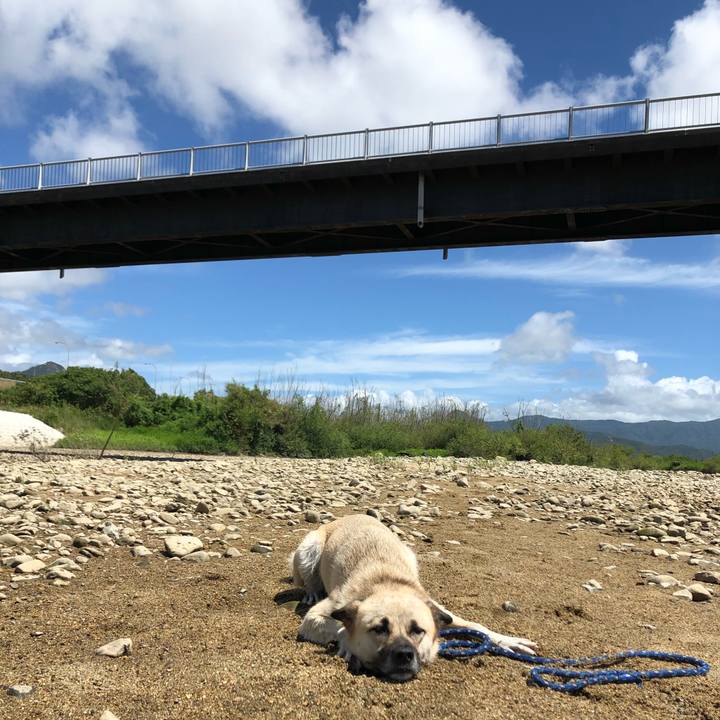 8b0d45c6 5787 41ec b26a 488c5a91da09 1535276721619