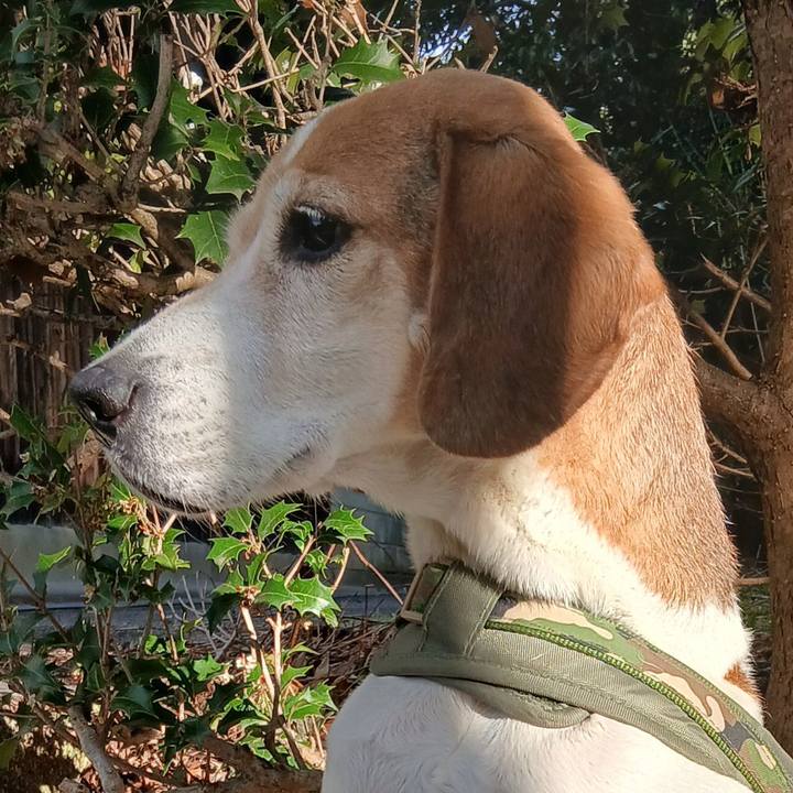 8b0d6dae 5ff0 4145 9052 6eeda00295b3 1768449016731