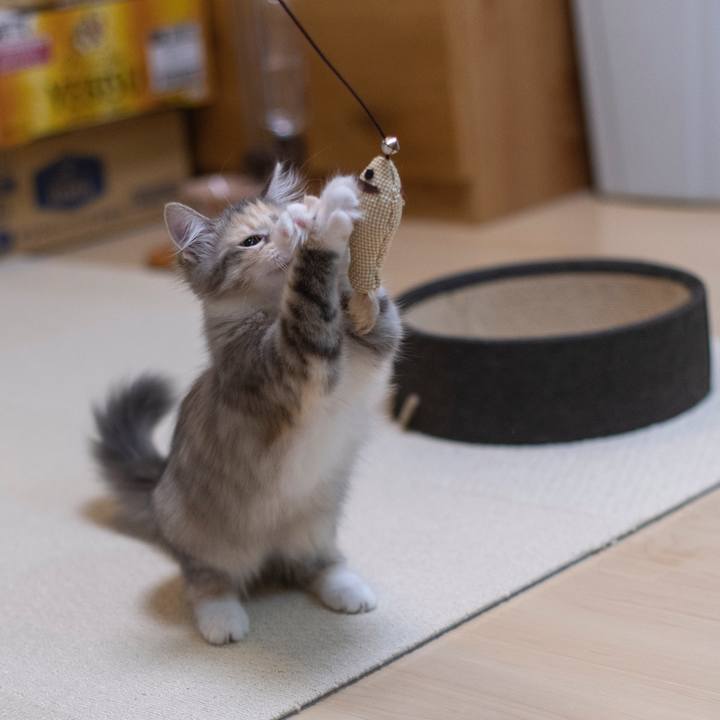 8b0d8697 a91b 4a7d ab64 0f992efe49cb 1537789513884