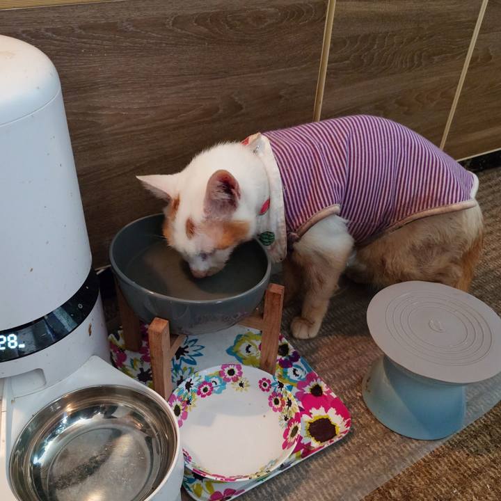 8b0d9ea1 909f 4639 9ba7 942b260aa167 1772599336823