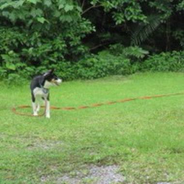 8b0db8c4 1221 429e a3eb 43075357ca02 1590464301130