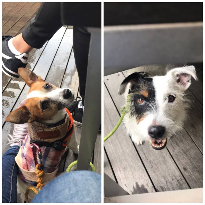 8b0dcf85 9d6b 4e4b 886b 25103cd65b64 1538284869399