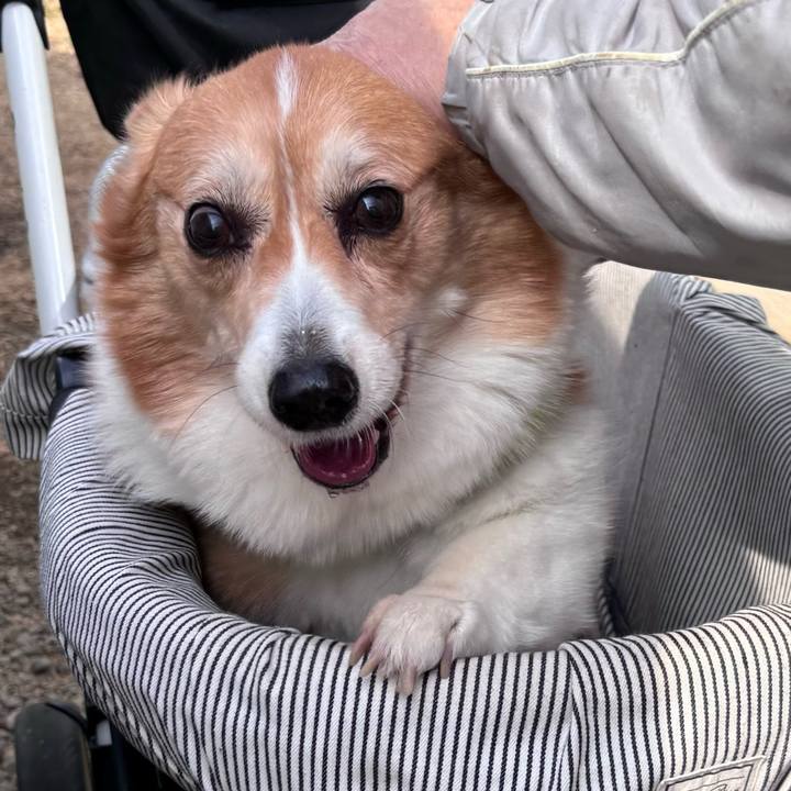 8b0de2af d1a5 44aa bb13 9a718e91f855 1741231965857