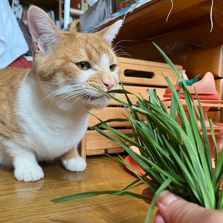 8b0e0126 84c1 40f3 9ee7 790a0bff8c9f 1684208449745