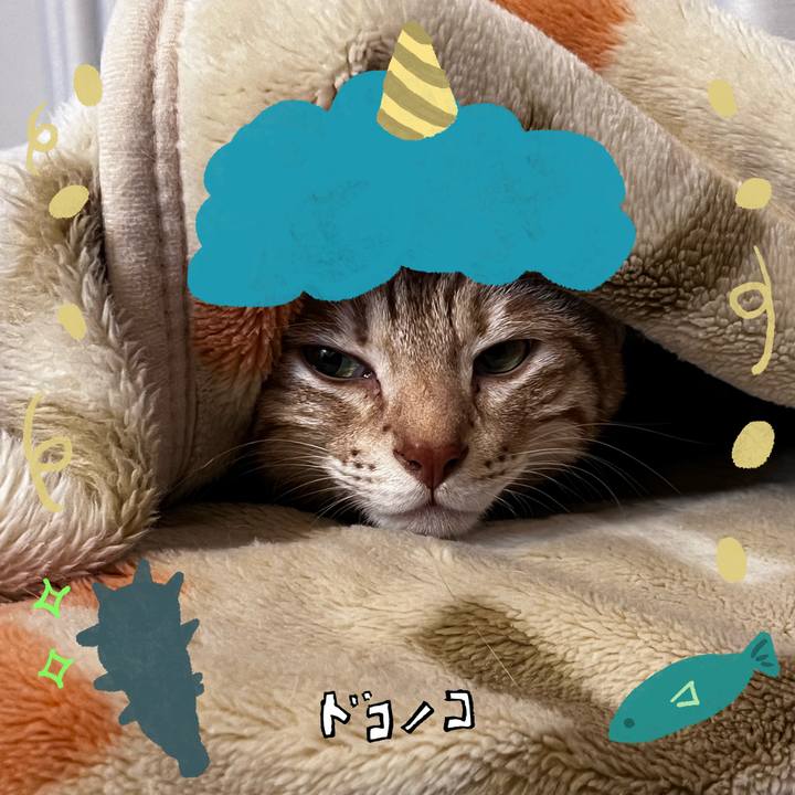 8b0e3c8e 3b83 4959 a25b 015125ad8f9a 1706913039131