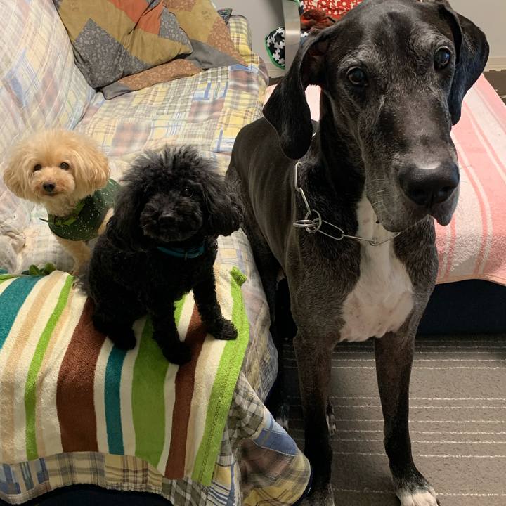 8b0e41e3 ddc6 42ef 8ead dbbae855fb3b 1602716420463