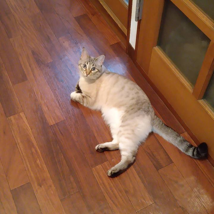 8b0e7dfc 87d0 42f1 93a6 38c7120111b4 1649680821182