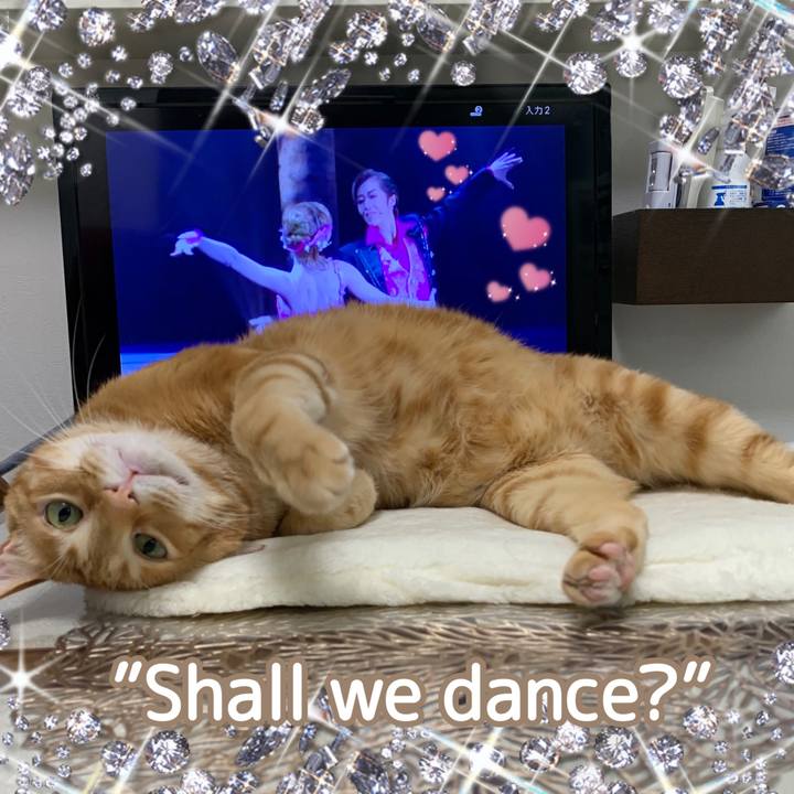 8b0e94f1 49ed 4d1a 9d17 a57af8d88cbc 1614897310694