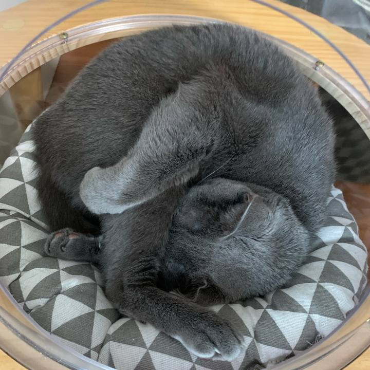 8b0e9acb 08c2 4351 b902 f05a44173c39 1674197648609