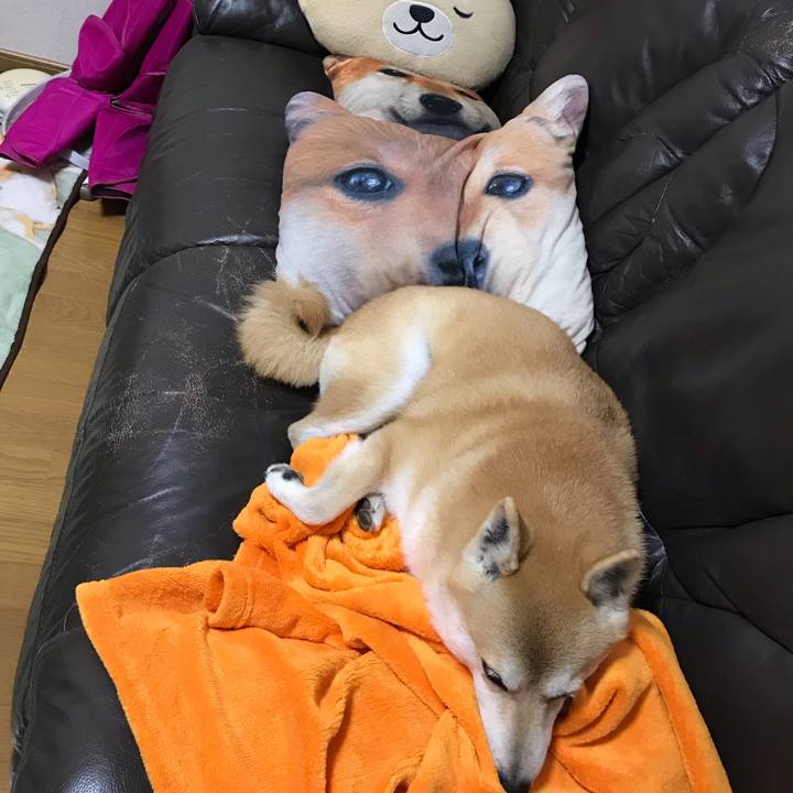 8b0eb5e7 4f0f 4ad9 a223 6e1dbe17bea6 1543581466897