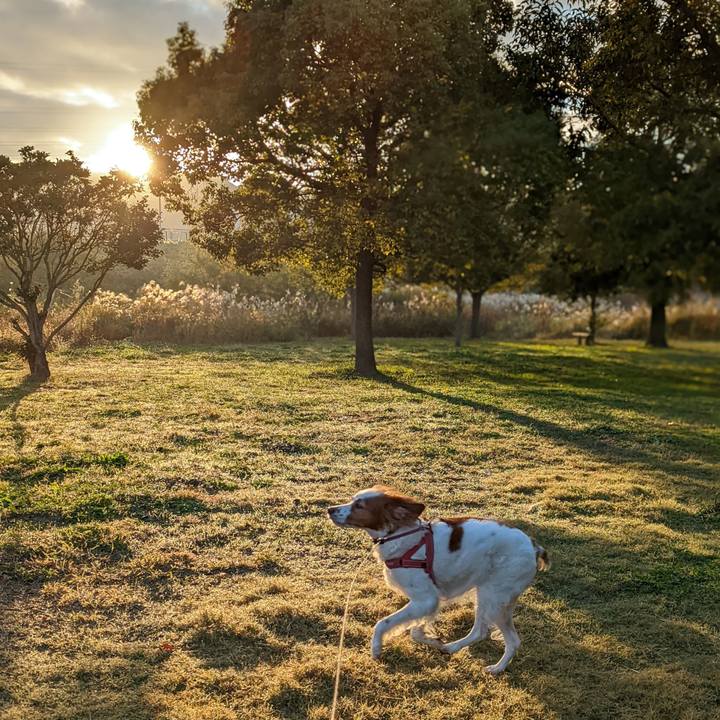 8b0ec39a deb8 4544 9b7d 236ffb8cf5f5 1636071385648