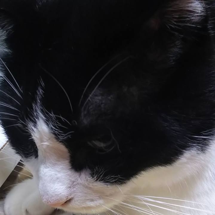 8b0eee64 1588 4e25 bc9b e5c12e399911 1567212347093