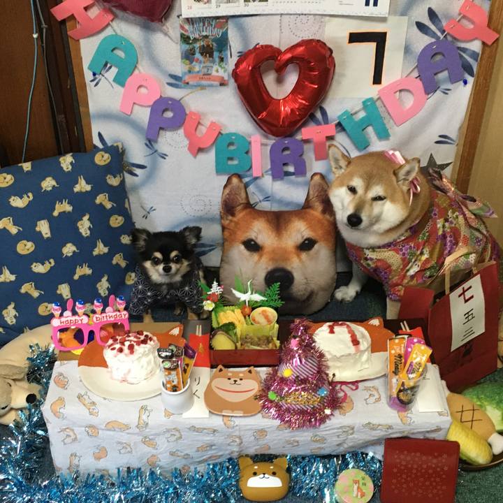 8b0f0716 b296 4ab4 863e 790c097cbf76 1636556889226