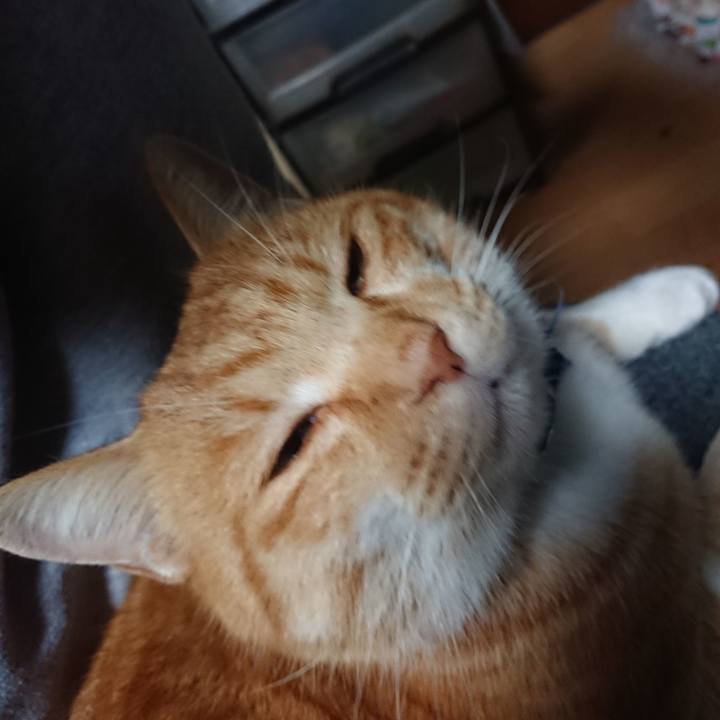 8b0f1217 af77 47c0 a8f5 1eeeaacc7cf4 1608024904784