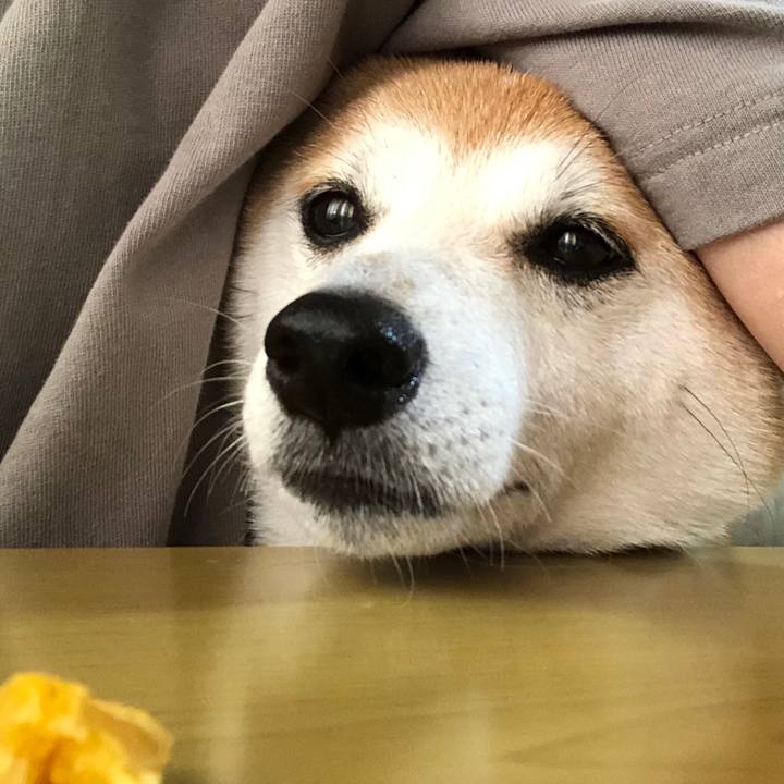 8b0f43e4 1ba7 4e7a b808 59f84ffe683f 1602401587074