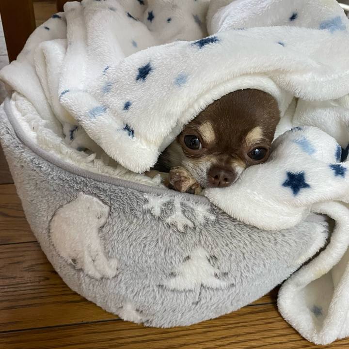 8b0f7534 268f 4870 85b5 5c2a01eaa2a8 1650012081504