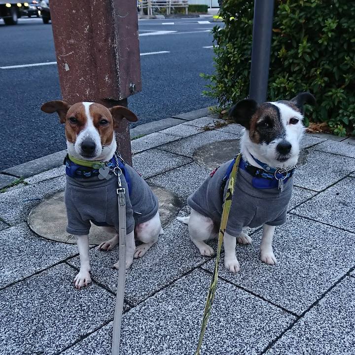 8b0f79a8 daf7 421e b4d7 62d5ca5fff9b 1579820064870