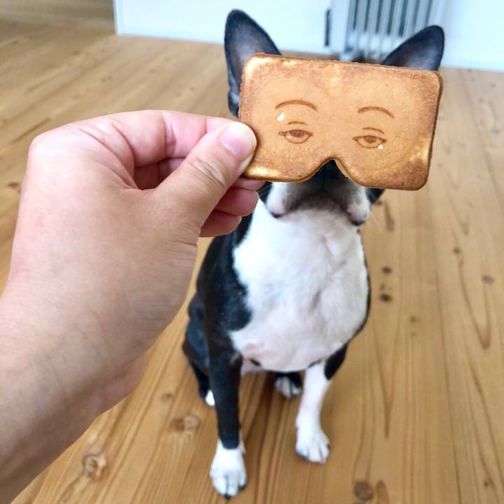 8b0fbe5c 0a6f 4af4 94dc 9a0e604200ab 1523673592393