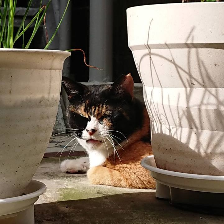 8b0fde05 30d8 4312 b087 d83cbed8e7cf 1660275456862