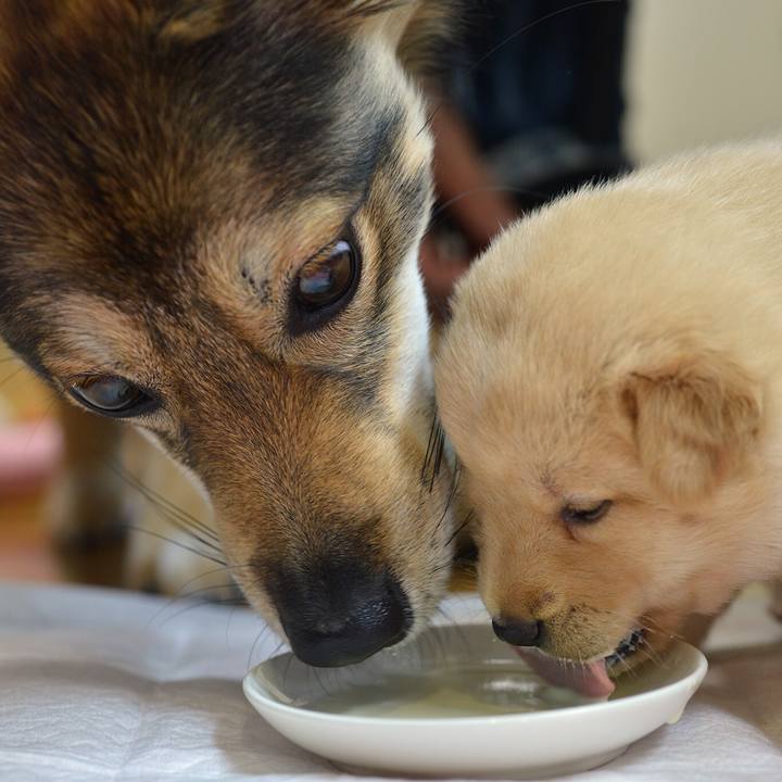 8b0ff669 6980 4b90 b3f5 fa9aedaee18a 1543747126761