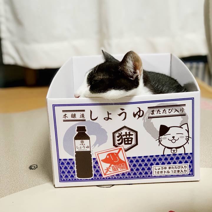 8b100f90 1afd 49e9 a94c cabea2a12263 1541641458071